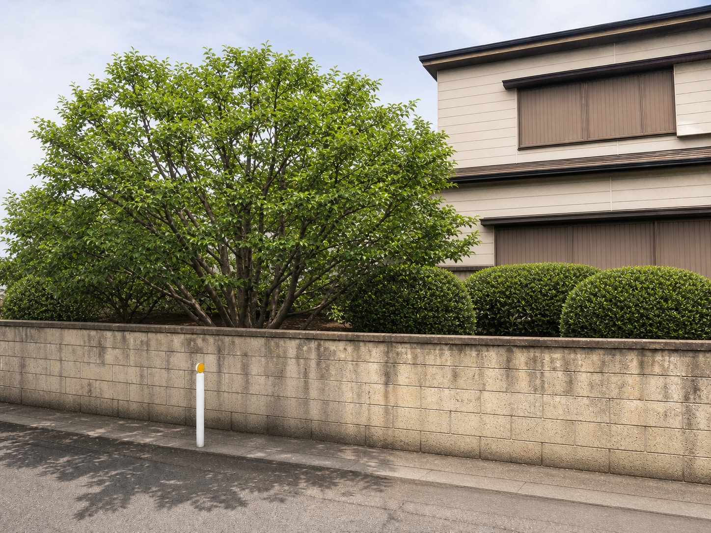 枝が塀の内側に収まり、道路に落ち葉も残っていない庭
