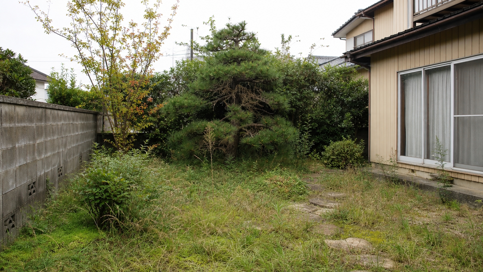 手入れがされず、庭木が伸びきった状態の庭